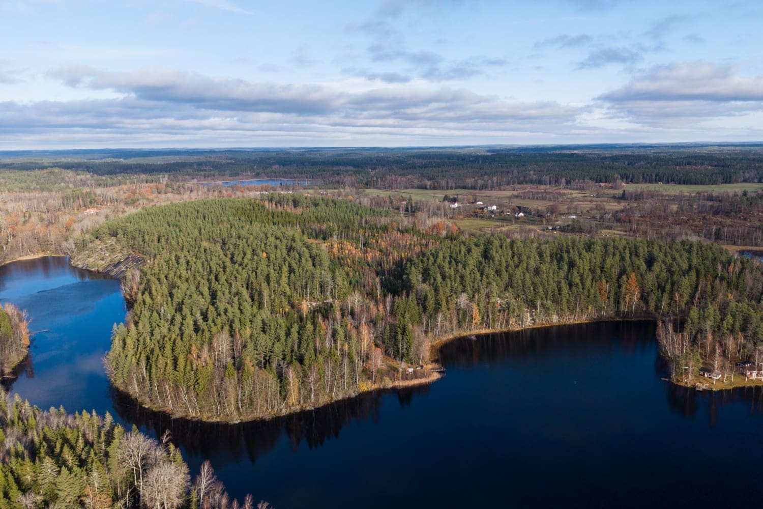En sjö med mycket skog längst kanten och några småhus
